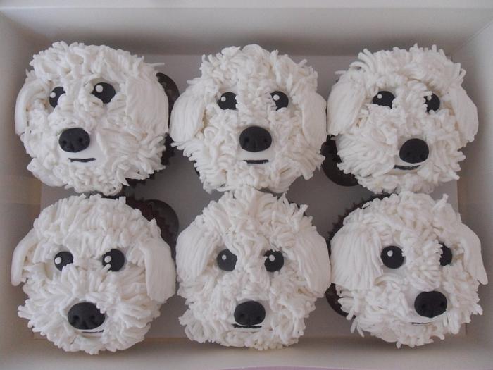 Bijon Frise Dog Cupcakes