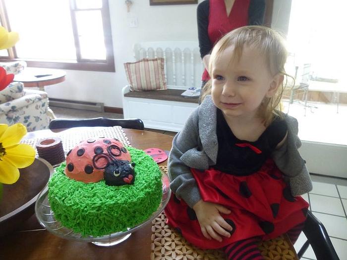 Lady Bug Cake for My Sweet Grand Daughter Lydia 