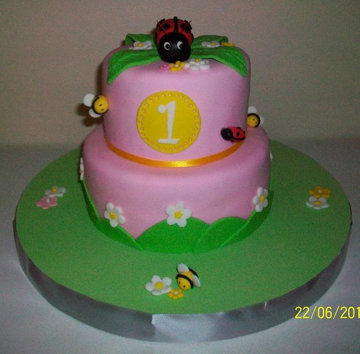 First year old, bee and ladybug cake