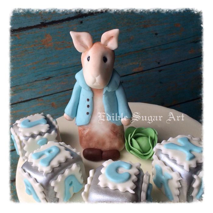 Peter rabbit baby shower cake 