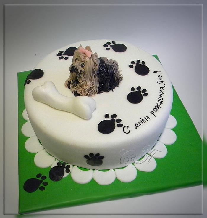 Cake "Puppy Yorkshire Terrier"