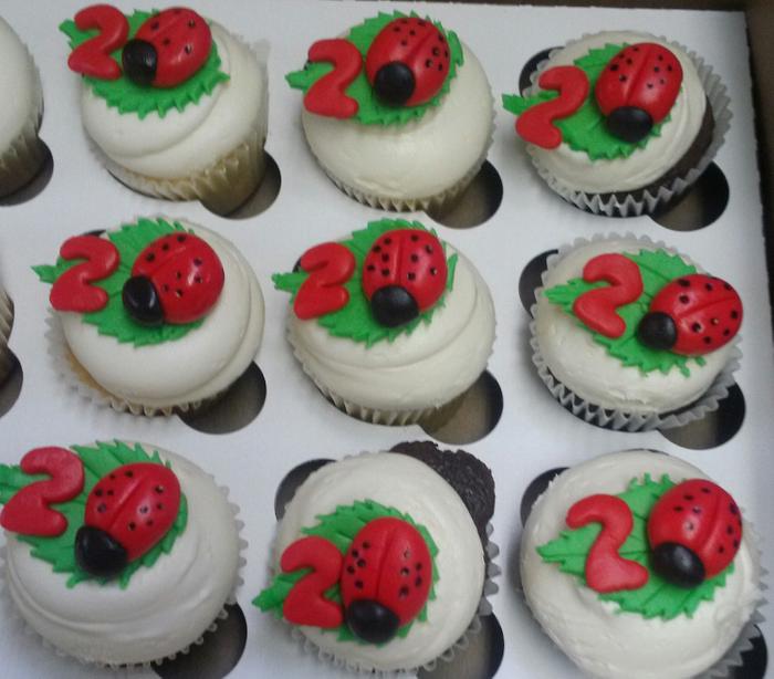 Lady Bug cupcakes