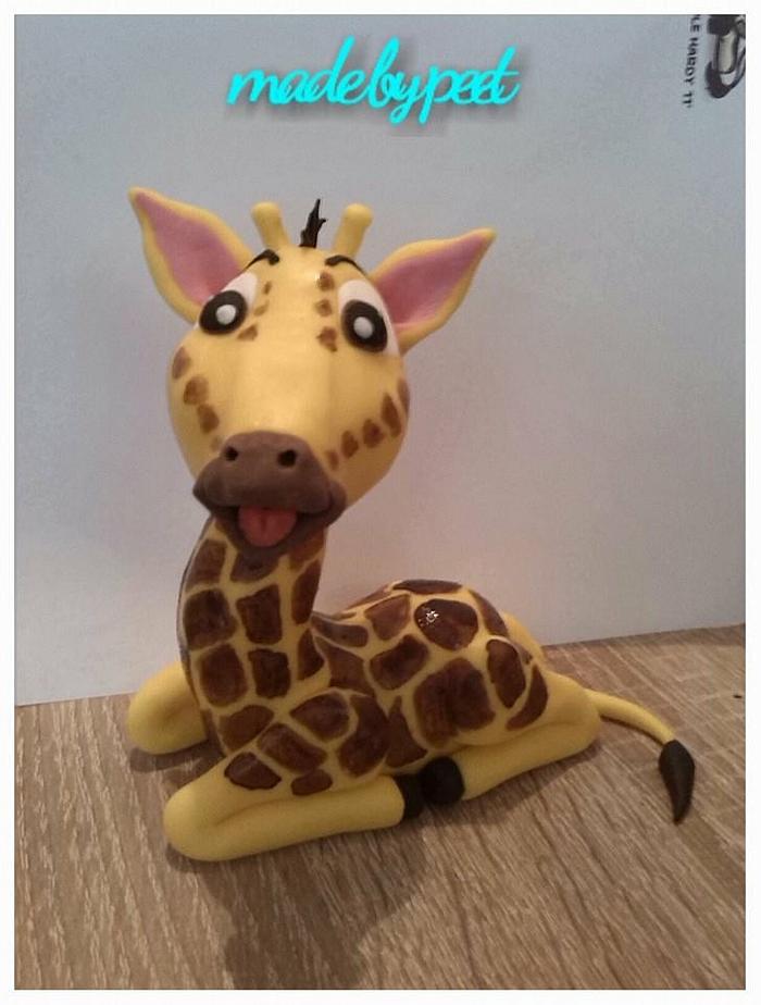 My giraffe