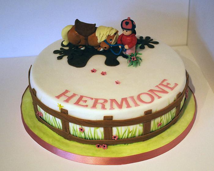 Thellwell pony inspired cake