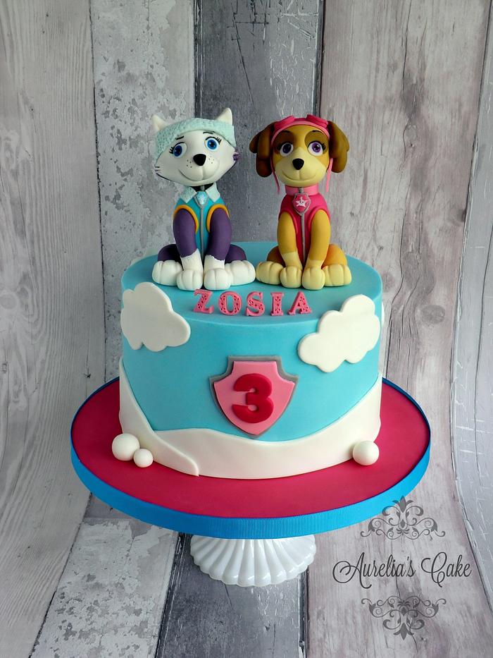Paw Patrol- Sky and Everest