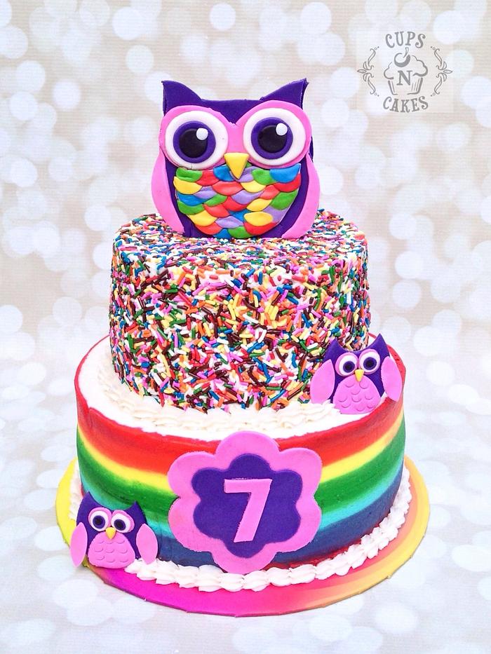 Rainbow Owl Cake 