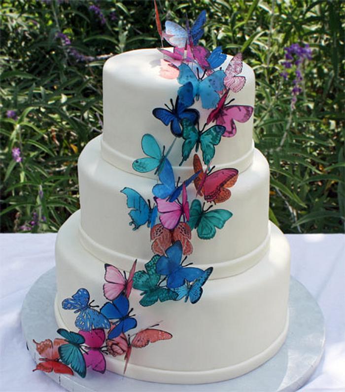 Brendy Butterfly Cake