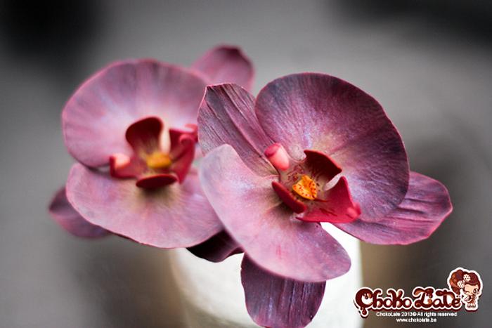 Orchids - Gumpaste