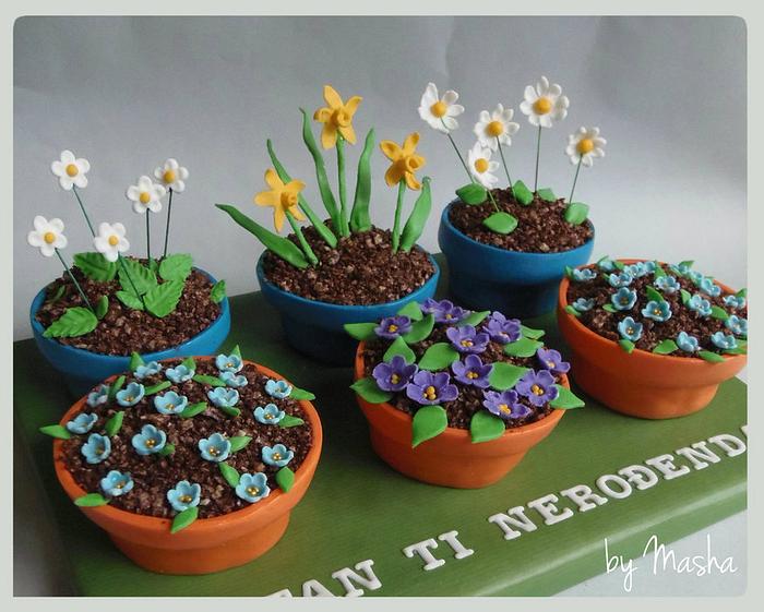 Flower pots cupcakes