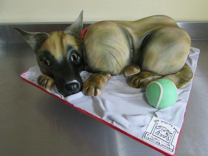 3D German Shepherd dog cake