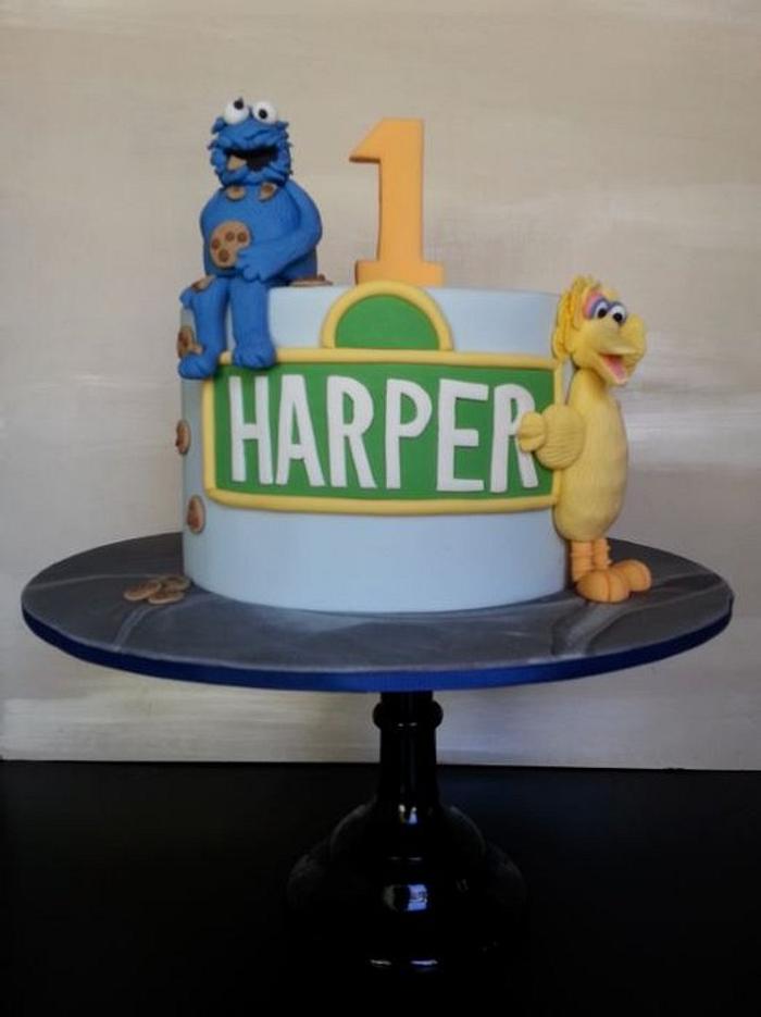 Harper's First Birthday