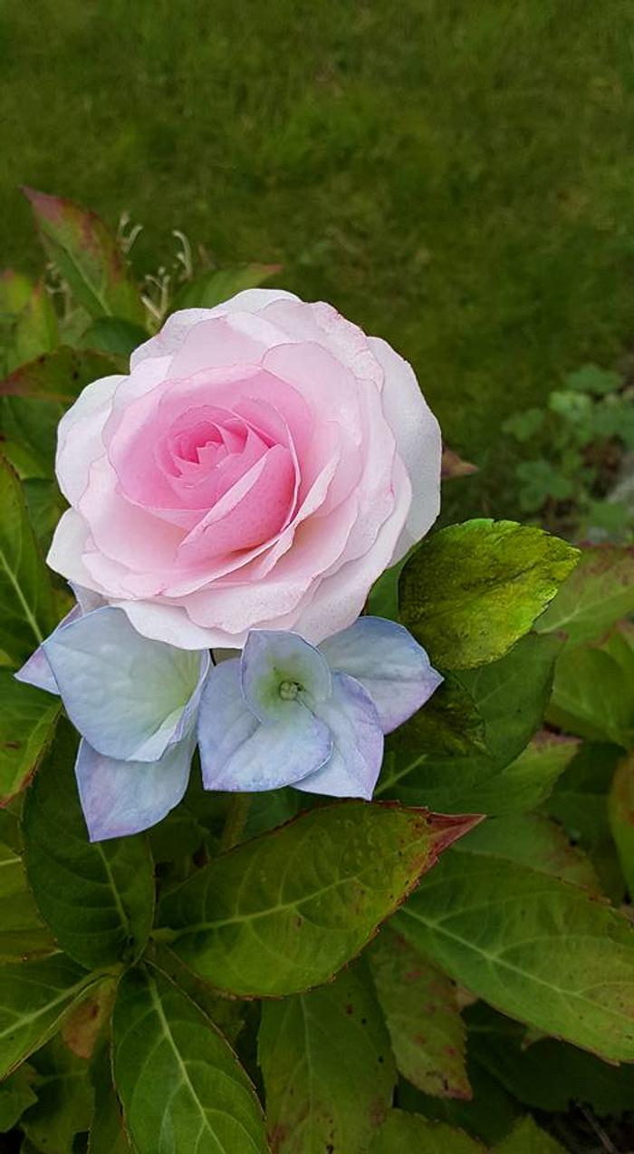 Wafer Paper rose