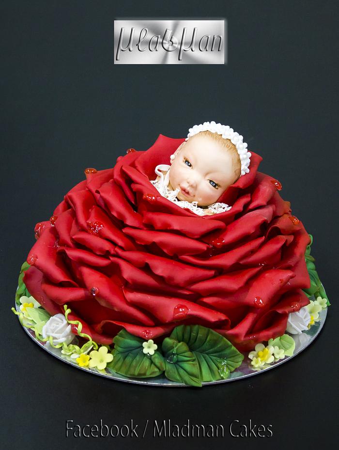 Baby rose cake