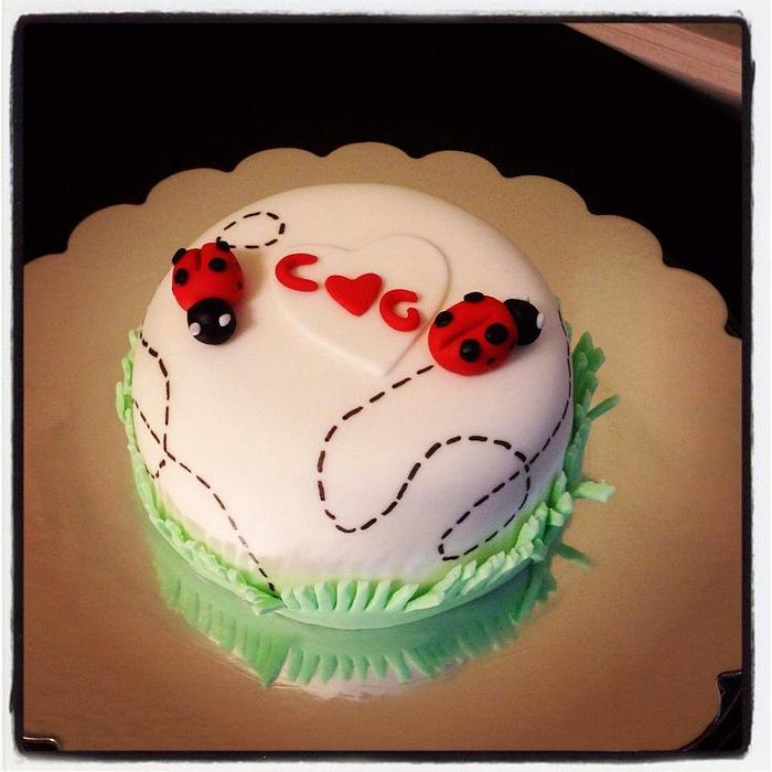 Ladybug theme anniversary cake