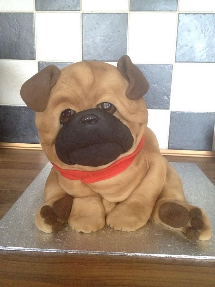Pug pup cake