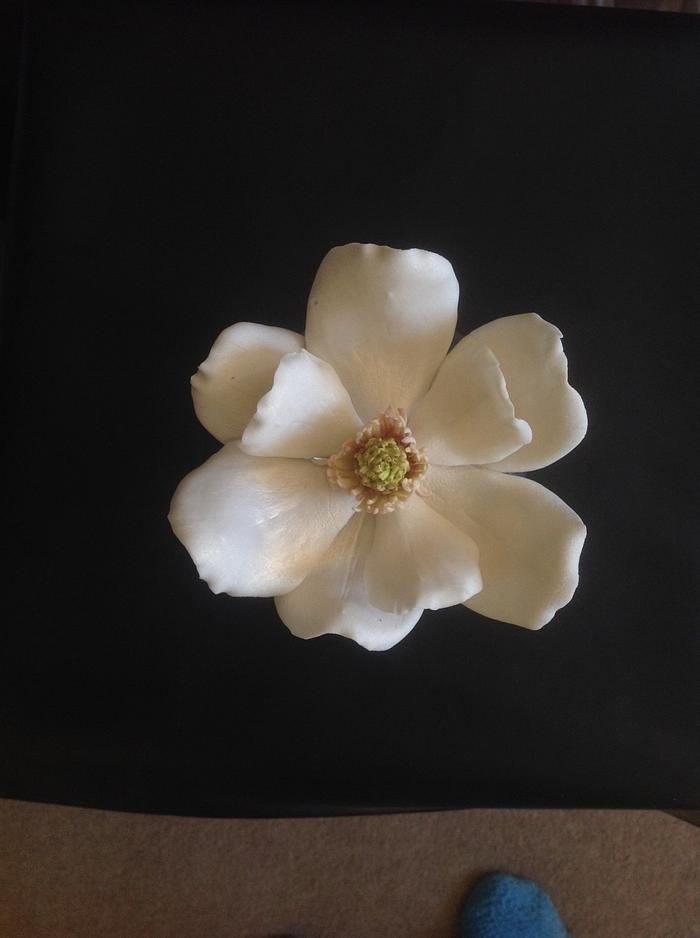 Gumpaste southern magnolia flower