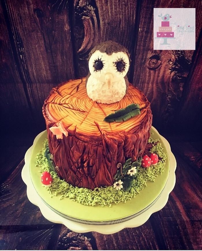 Owl on a tree stump!