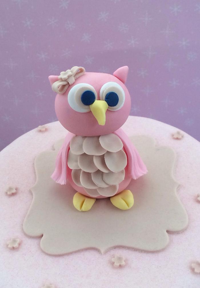 owl smash cake 