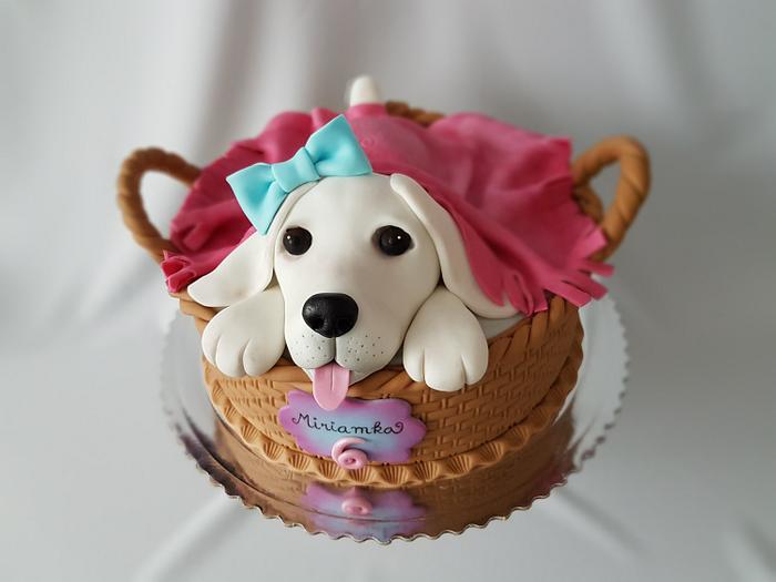 Doggy in basket