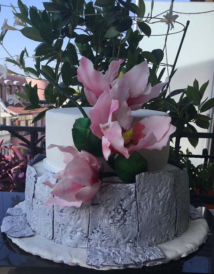 Two hearts- Wedding cake