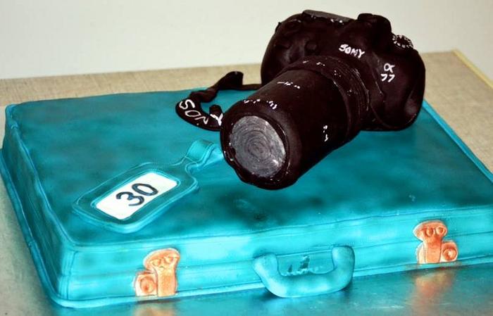 Suitcase and camera cake