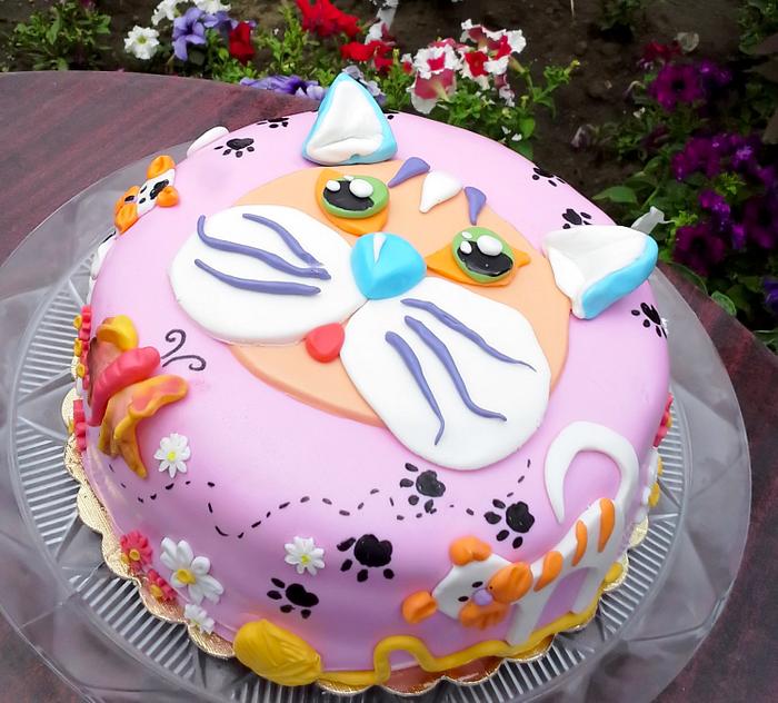 Cat cake