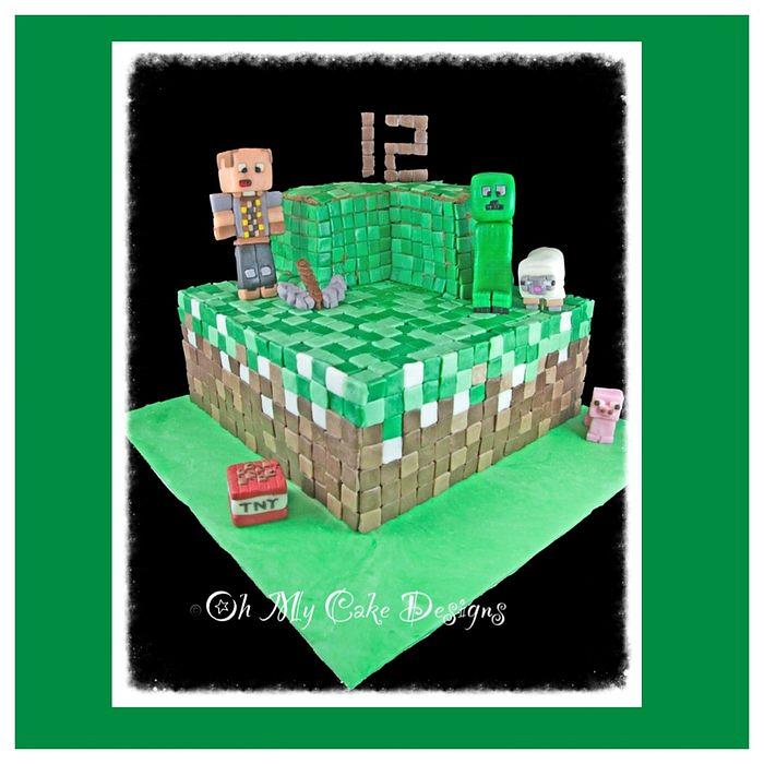 My first Minecraft cake With the angry villager 
