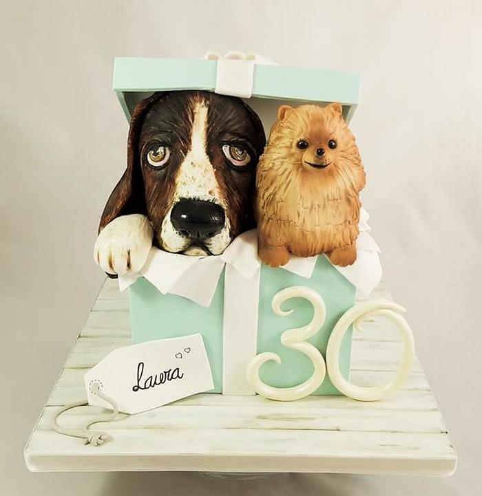 Pups cake surprise 
