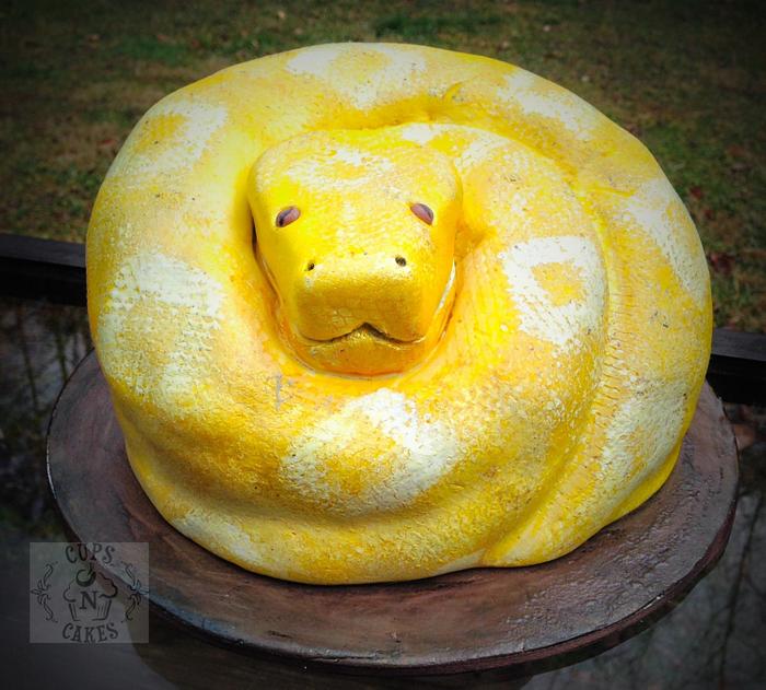 Python Cake