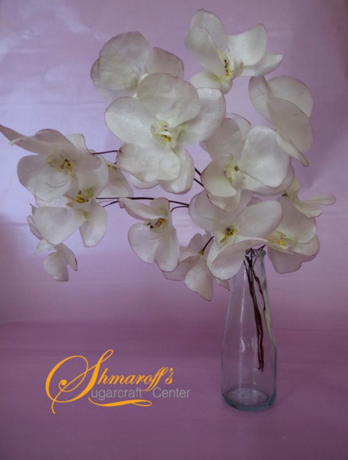Moth Orchids Wafer Paper