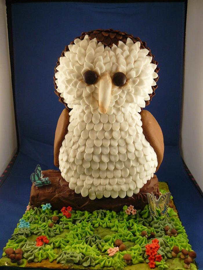 Barn Owl Cake 