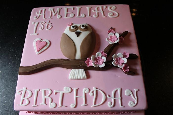 Amelia's Owl 1st Birthday Cake