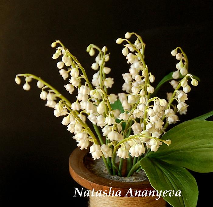 Sugar lily of the valley