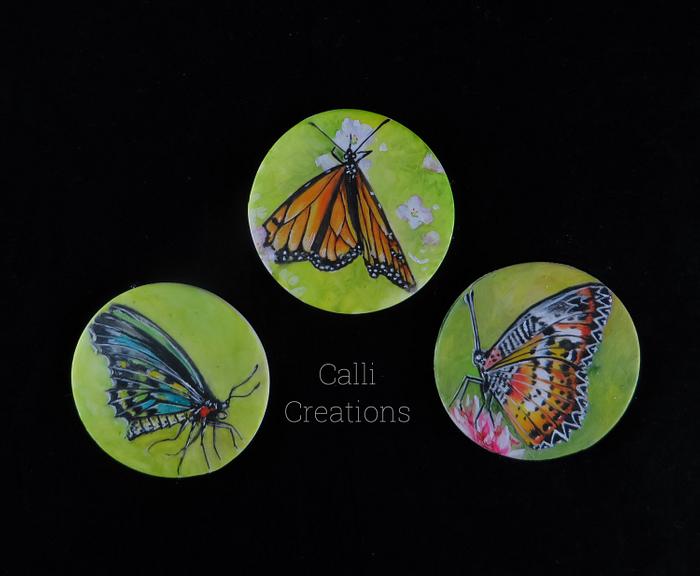 Butterflies - Beginners Class