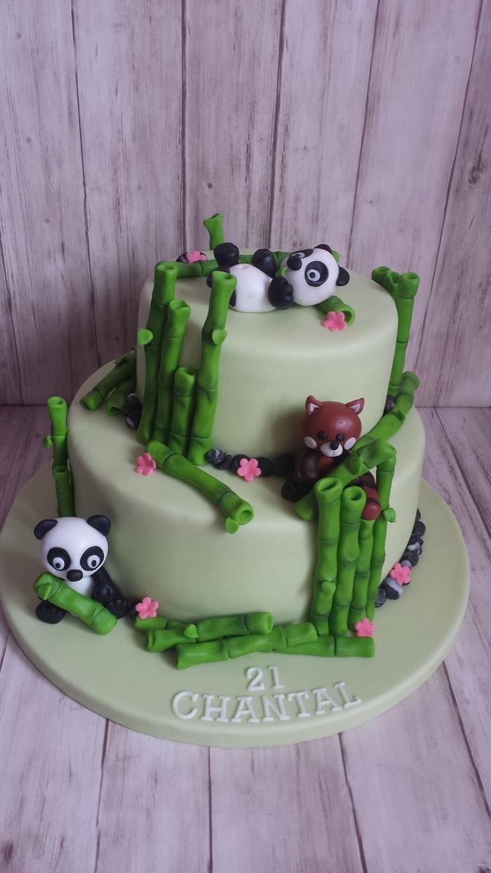 Panda Bear cake
