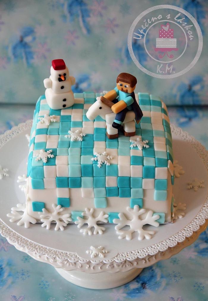 Winter Minecraft cake
