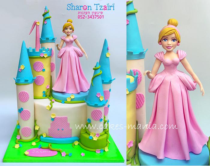 castle cake and cinderella in a pink dress :)