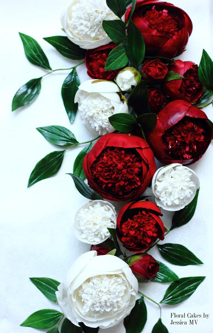 RED&WHITE CHARM PEONIES