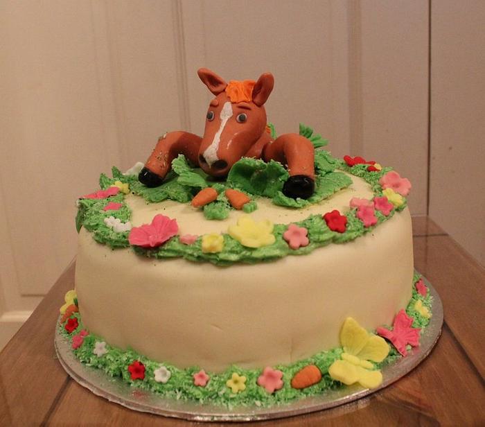 Crazy horse cake