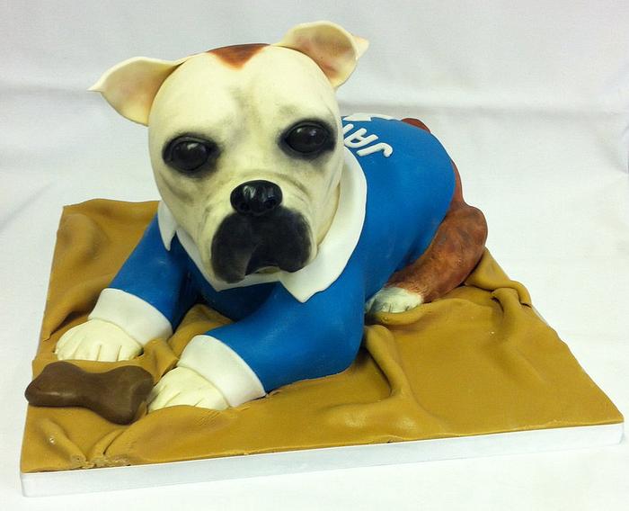 Dog Cake wearing a football shirt