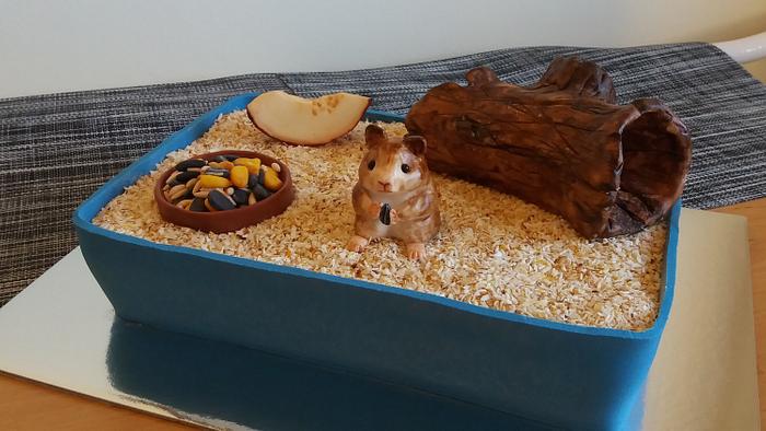 Hamster pet with food