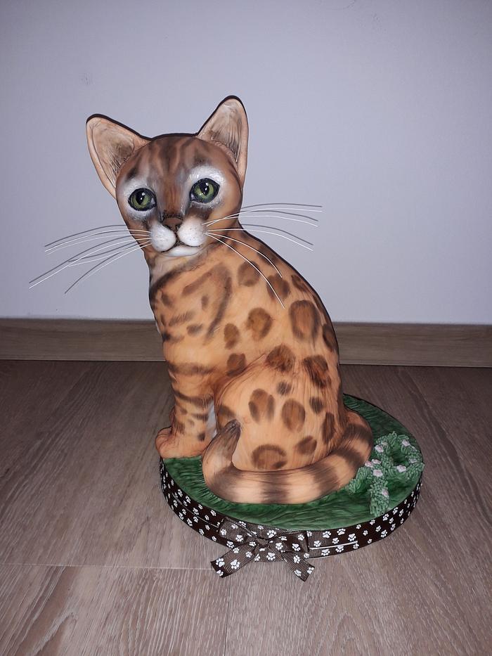 Bengal cat - 3D cake