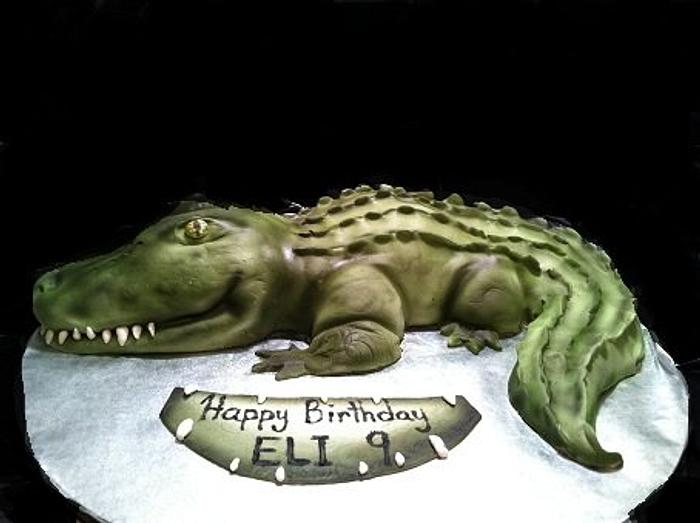 Gator Birthday Cake