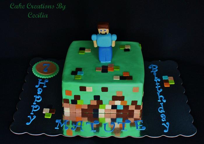 Minecraft  Birthday Cake