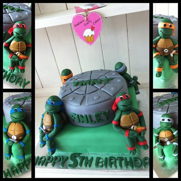 Ninja turtle cake