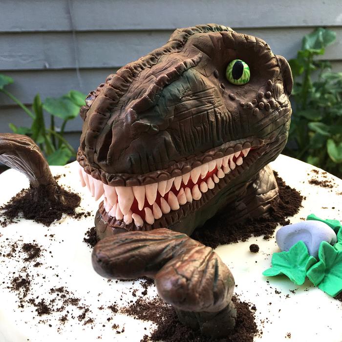 Dinosaur cake 