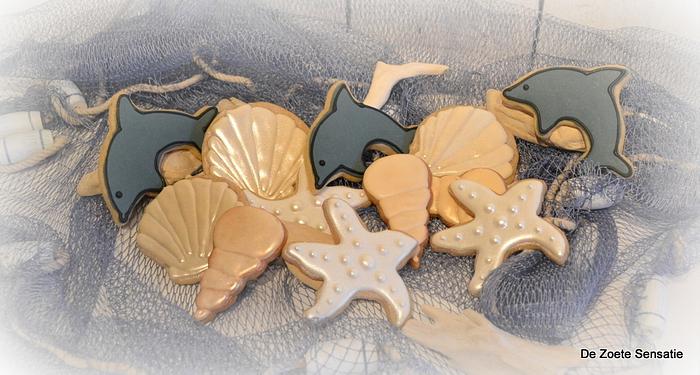 Dolphin and Shell Cookies