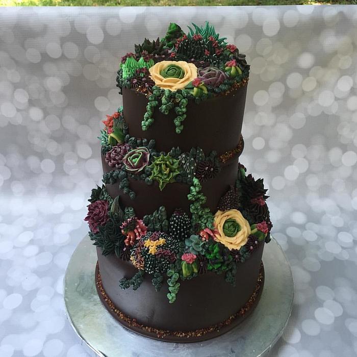 Succulent Tiered Cake