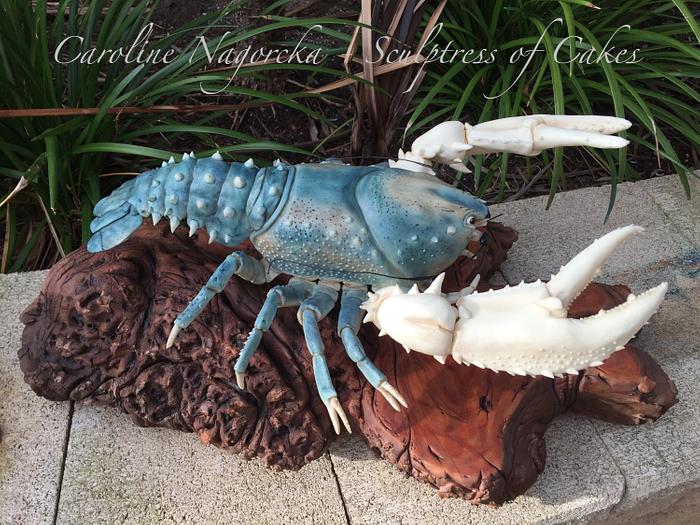 Freshwater crayfish cake