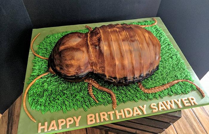 Cockroach Cake | Bug birthday cakes, Nature cake, Realistic cakes